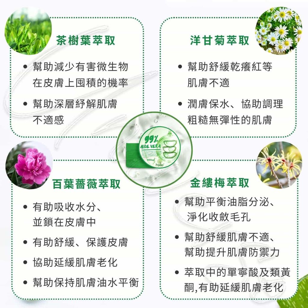 3_8809685570875_universomart宇碩協銷_韓國Hallo Beauty 99%蘆薈凝膠ALOE VERA Jelly Film LOGO