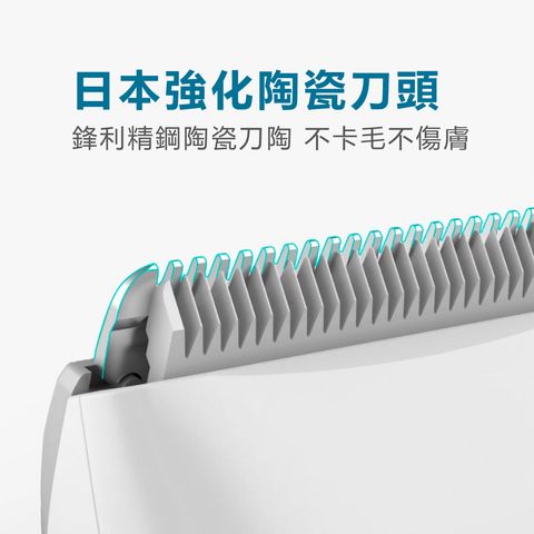 TS-R12-寵物修毛電剪_2