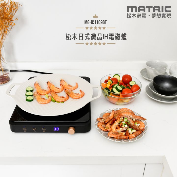 MG-IC1109GT-1000-01