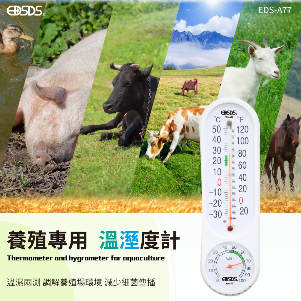 20250522-EDS-A77-環境溫濕度雙顯指針式感測器-上架圖-02