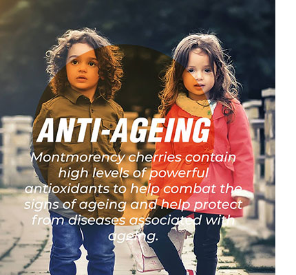 cherryactive-anti-ageing.jpg cherryactive-anti-ageing.jpg