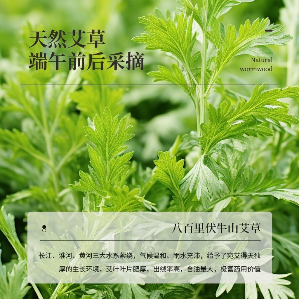 imgi_8_O1CN01sIwCEk1CRluUNMyC3_!!2206779890078-0-cib