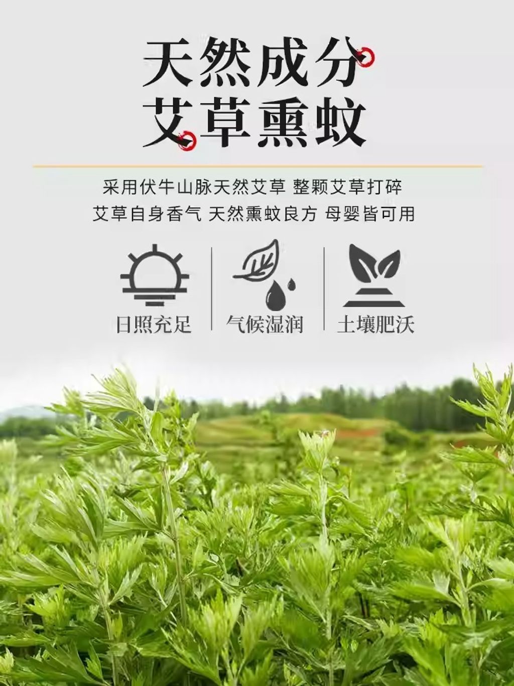 imgi_5_O1CN01AVPai71zhGOdoFI4b_!!826956745.jpg_q50.jpg_