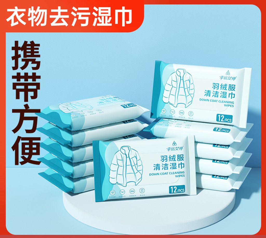 sku-04-新品12片【清洁专用】便携装 copy