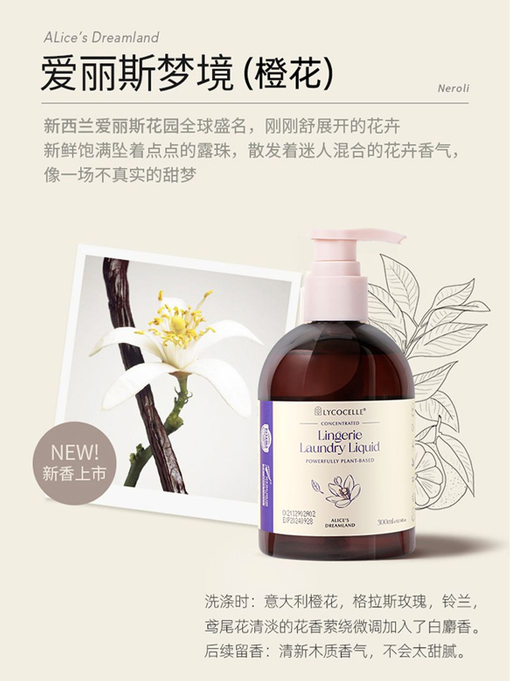 SKU-06-爱丽丝梦境香