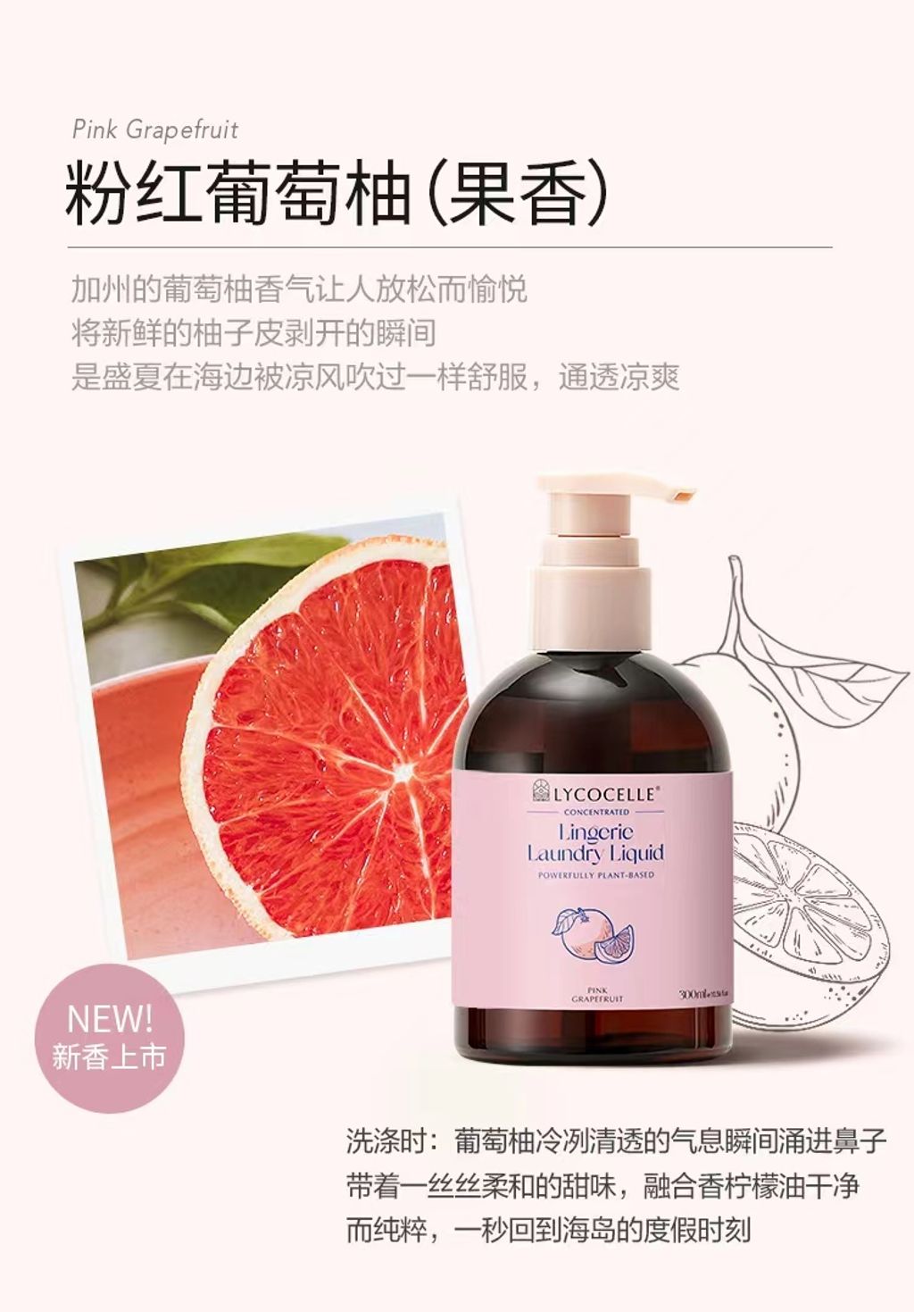 SKU-07-粉红葡萄柚