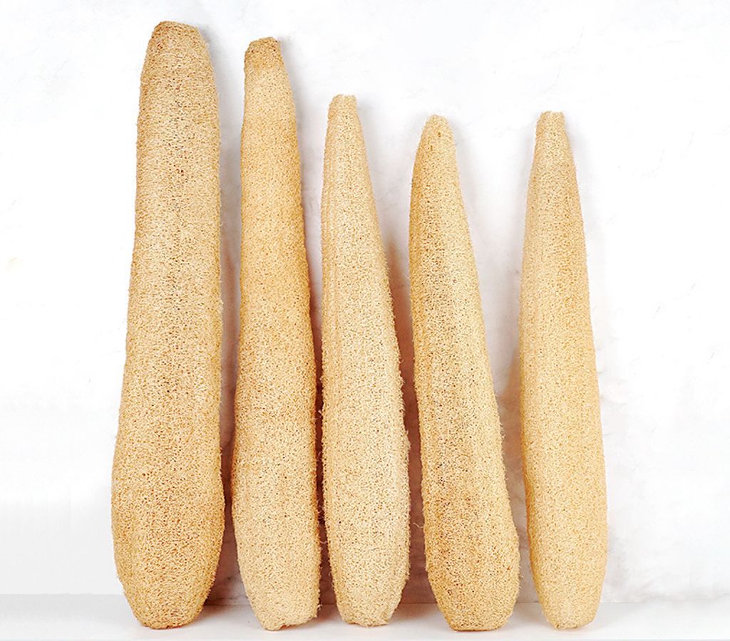 O1CN010xnosa1RdQAiS2KHA_!!2212460552134-0-cib copy