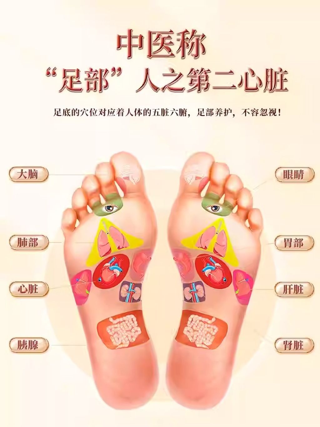 O1CN01ANi2xO1uoWYMwixyT_!!2212357826084-0-scmitem8000.jpg_q50.jpg_