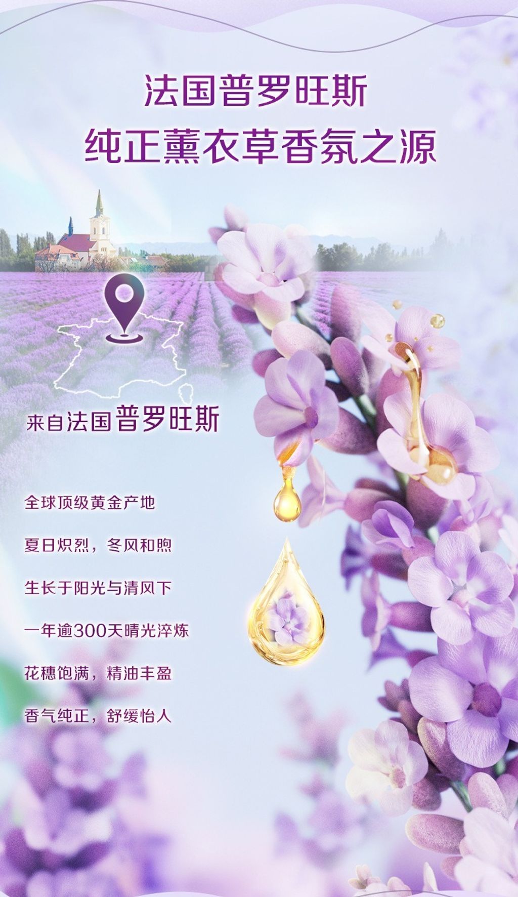 imgi_30_O1CN01hMWFIR1yVz9iaOIca_!!2212888196585-0-cib