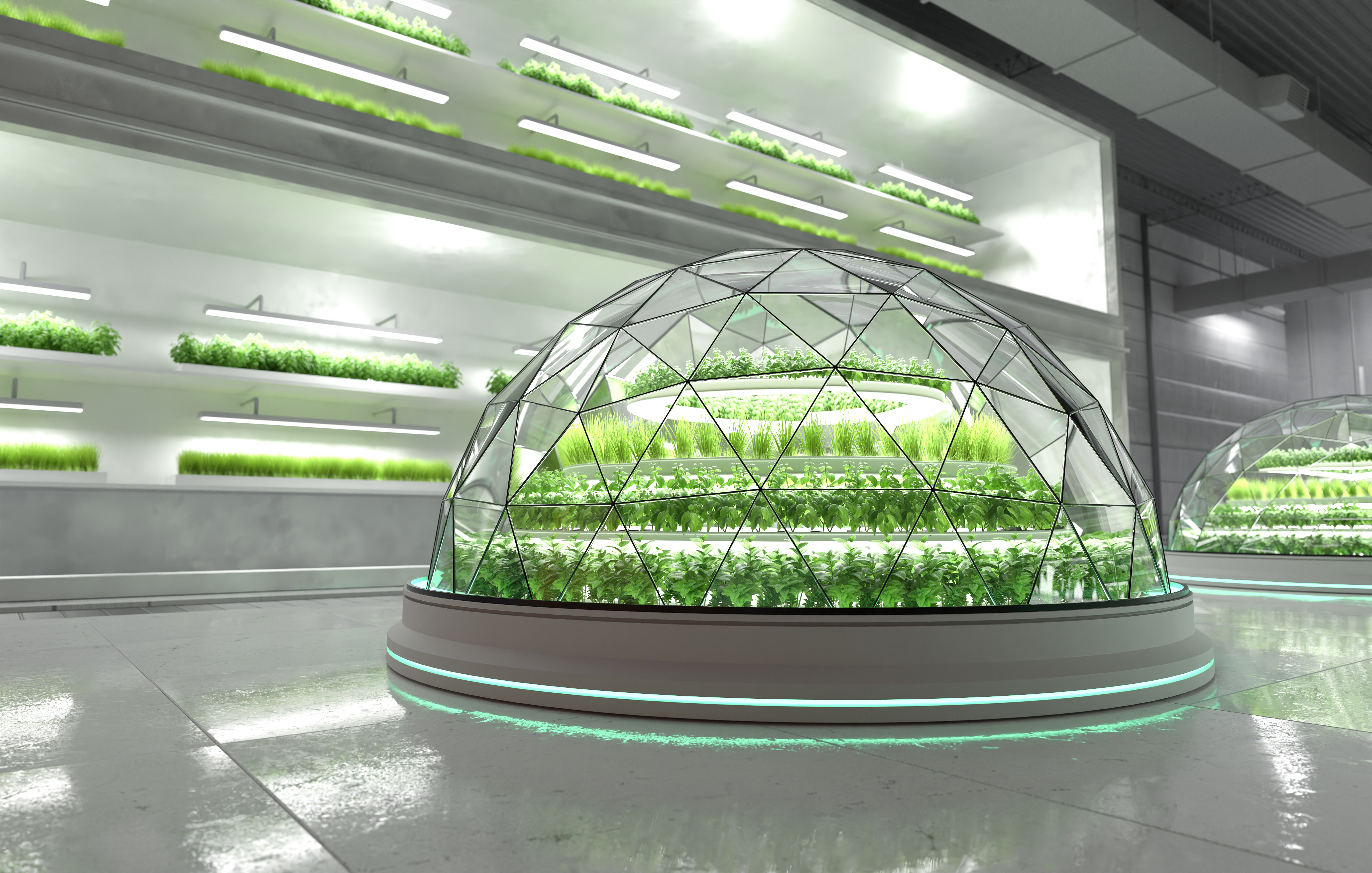 What is the function of Growlight in a NFT Hydroponics System?