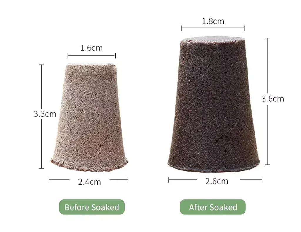 Hfb64e8548ed746878a7e2d70de7afedaP