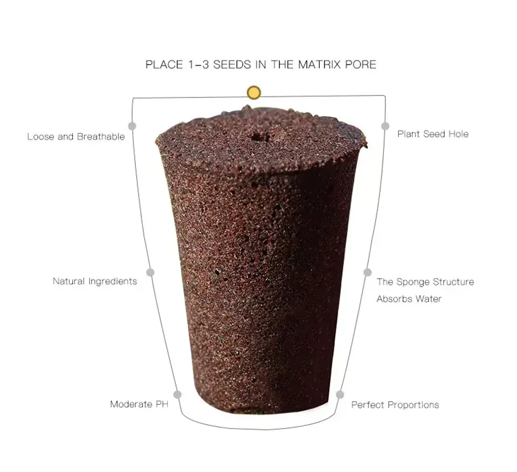 H36e3922a7007408d8a65087f111910d08