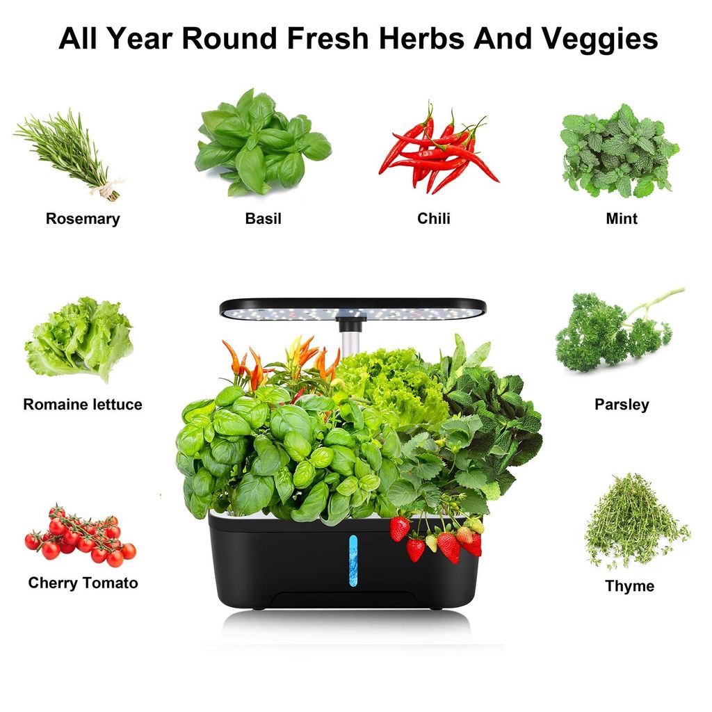 Hfd2f1e7b8b004d6e8d4172f77a5c71f8F (1)