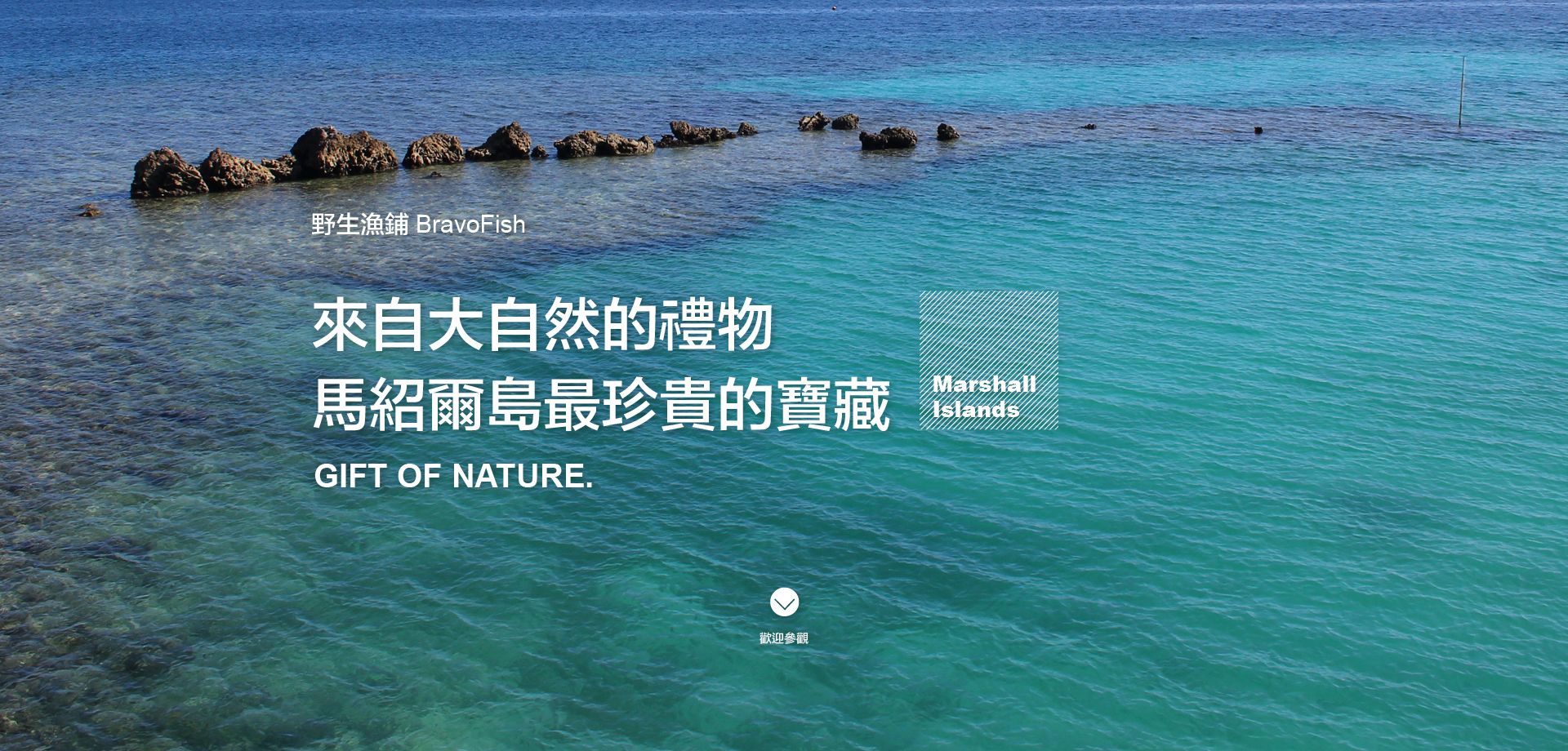 野生魚舖 進口水產 海鮮批發 | 