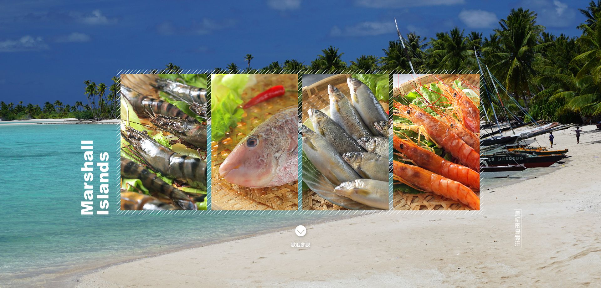野生魚舖 進口水產 海鮮批發 | 