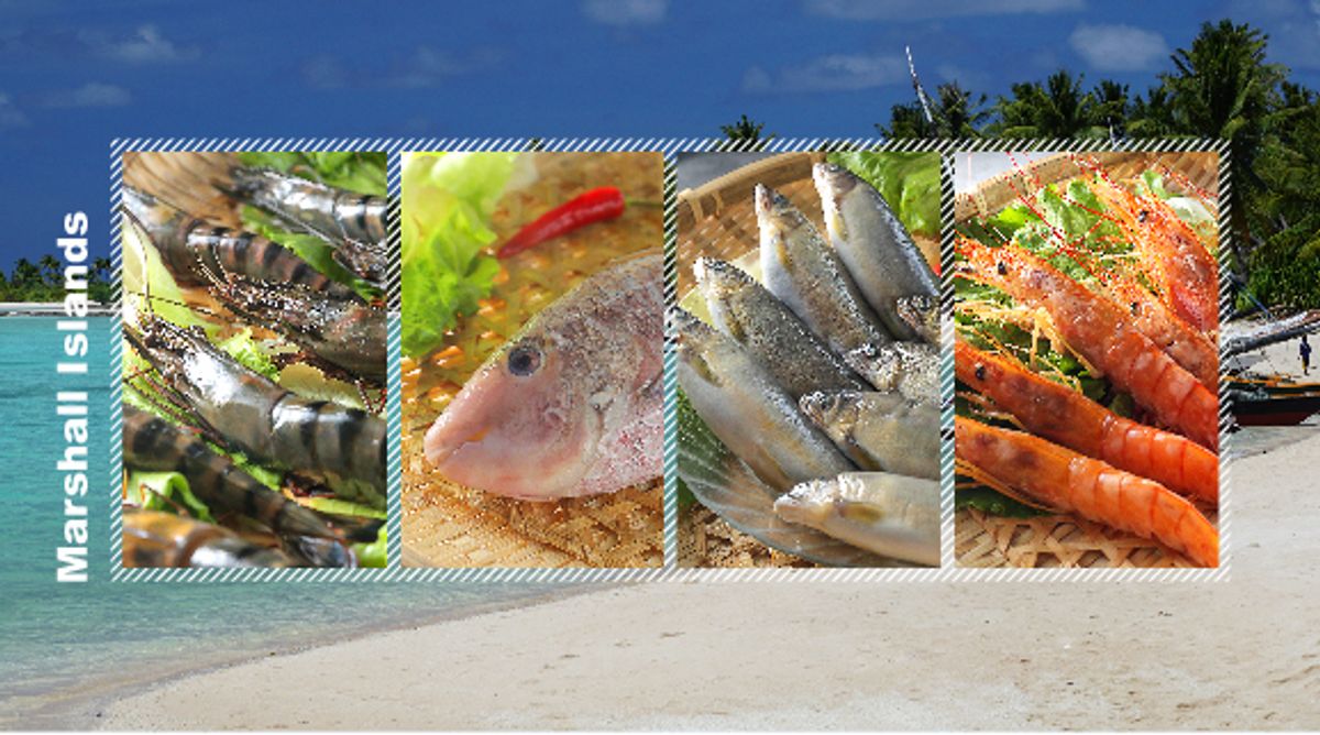野生魚舖 進口水產 海鮮批發 | 