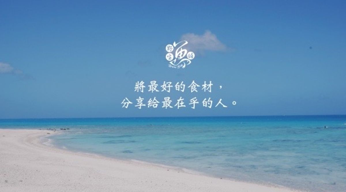野生魚舖 進口水產 海鮮批發 | 
