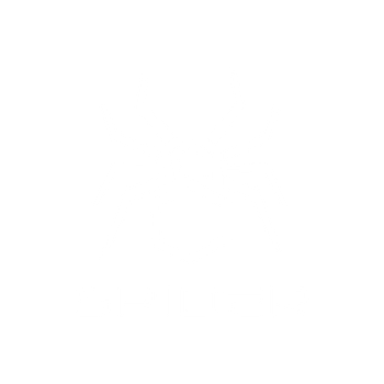 Spider Malaysia