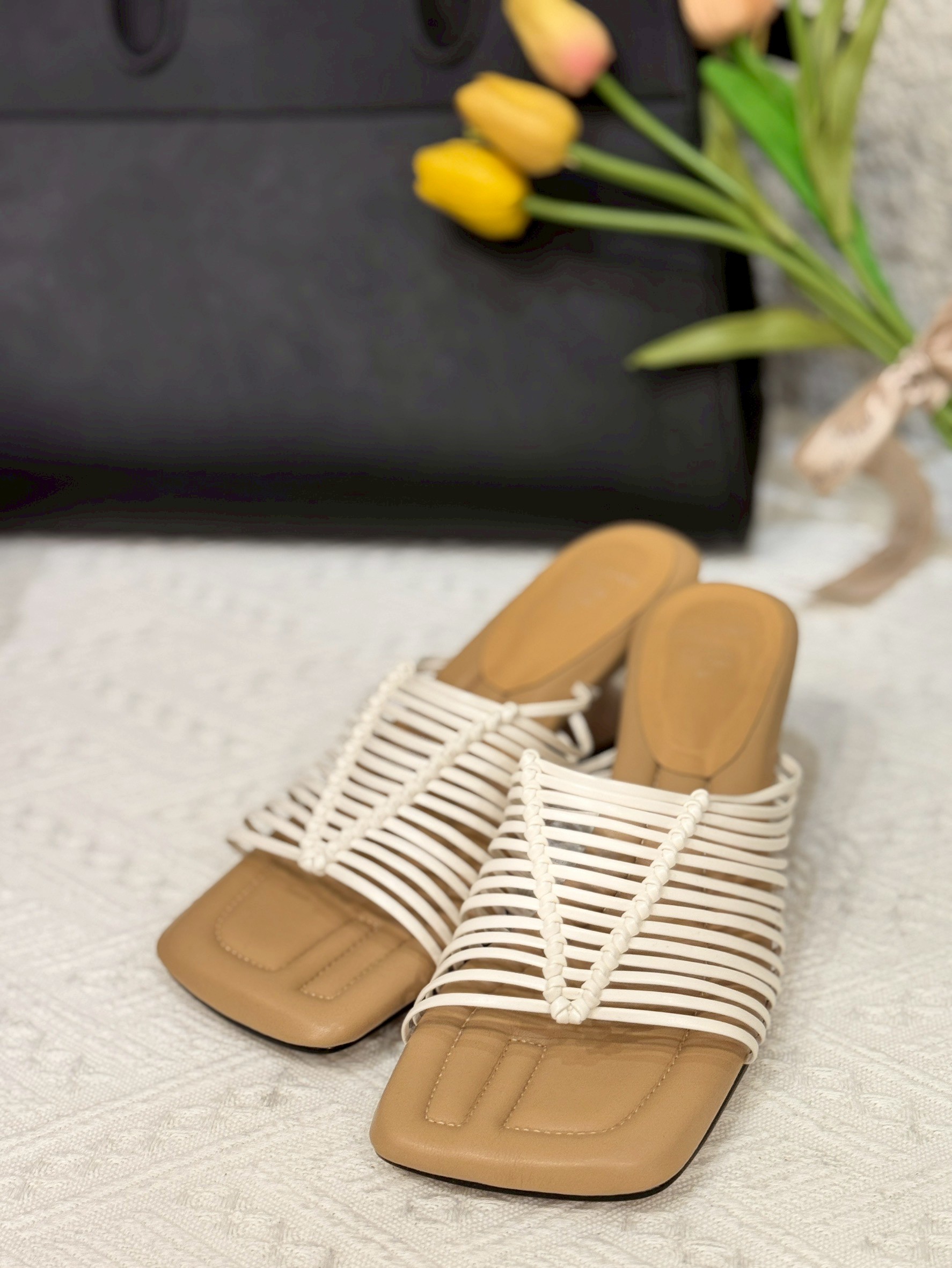 LINE_ALBUM_平拍照_250506_5