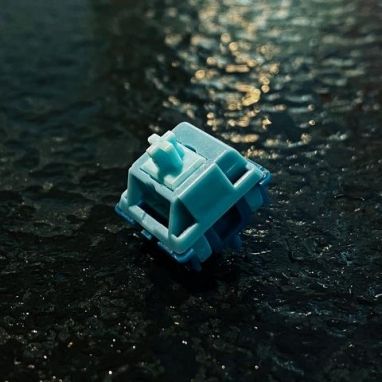 JWK Poseidon Linear Switch