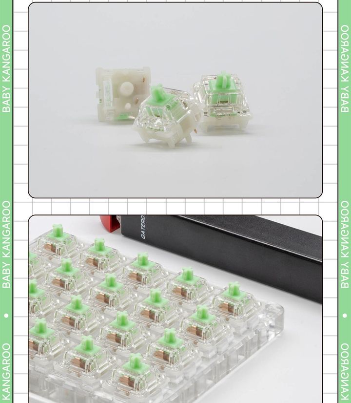 Gateron Baby Kangaroo Tactile Switch