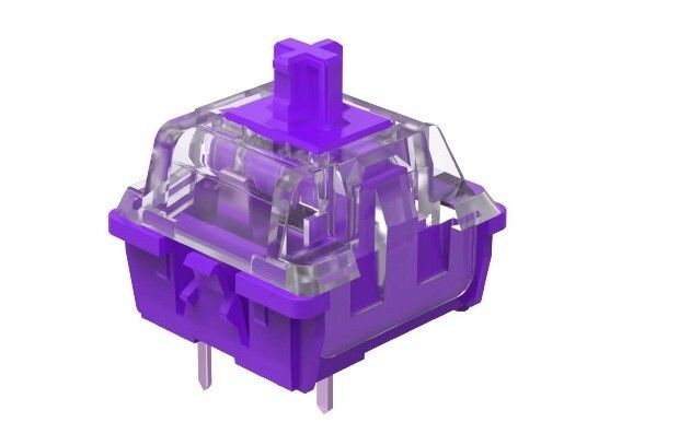 CIY EVO Purple Tactile Switch