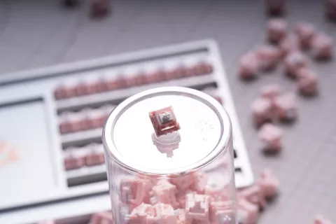 LCET Sakura Linear Switch