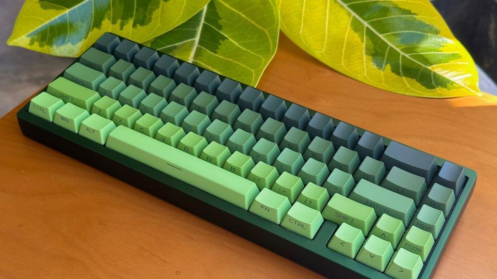 WhatsApp Image 2025-07-11 at 1.57.49 PM