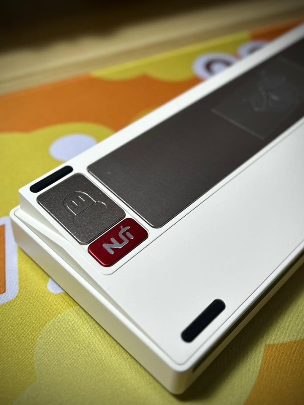 WhatsApp Image 2025-08-24 at 5.32.31 PM (1)