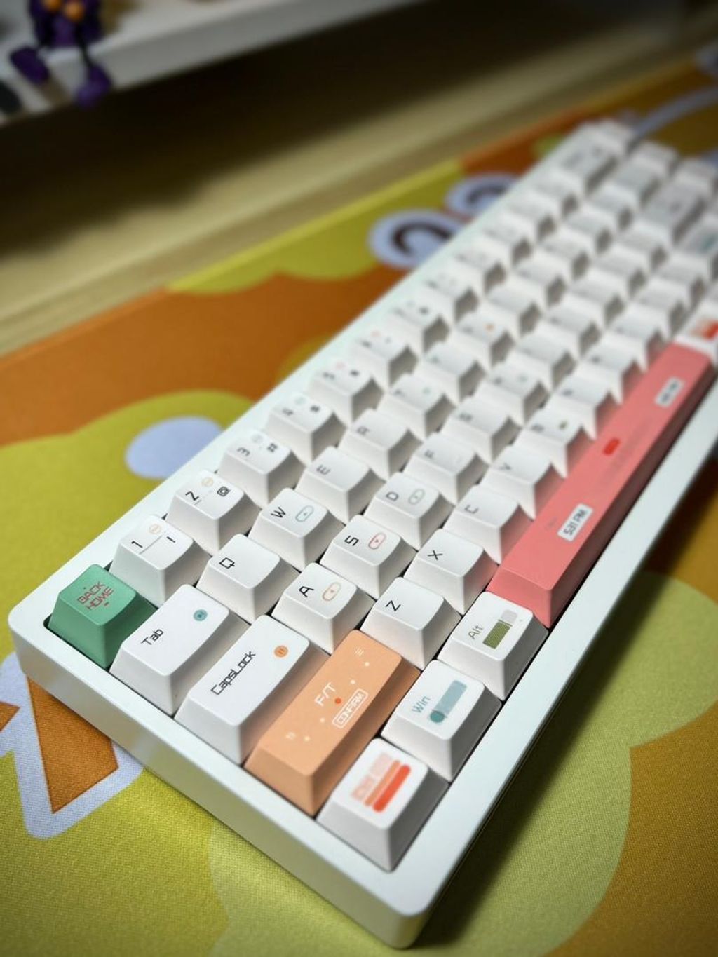 WhatsApp Image 2025-08-24 at 5.32.31 PM