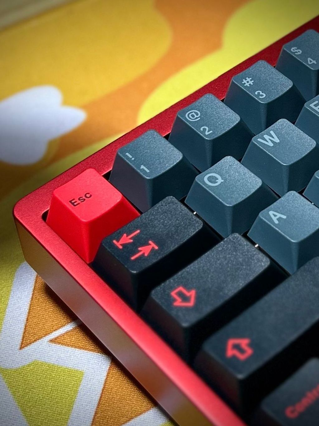 WhatsApp Image 2025-08-24 at 5.32.30 PM