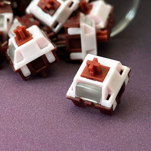 WhatsApp Image 2025-11-16 at 18.19.47