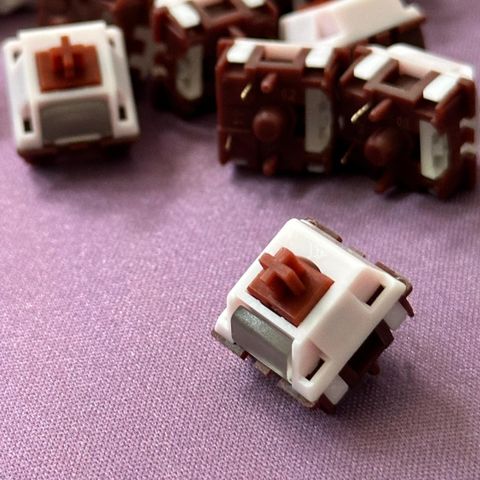 WhatsApp Image 2025-11-16 at 18.19.50