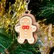 Mr. Gingerbread man