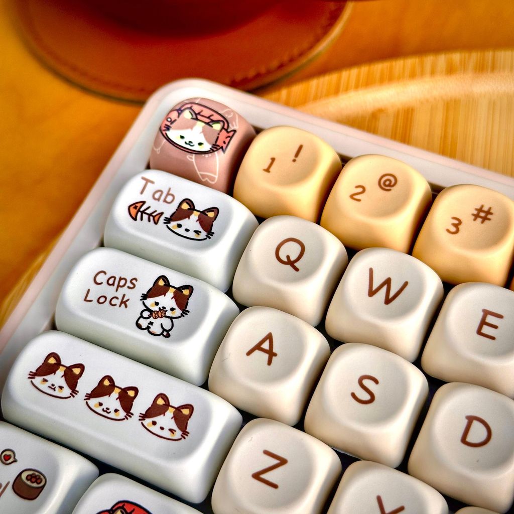 WhatsApp Image 2025-12-05 at 13.48.15 (1)