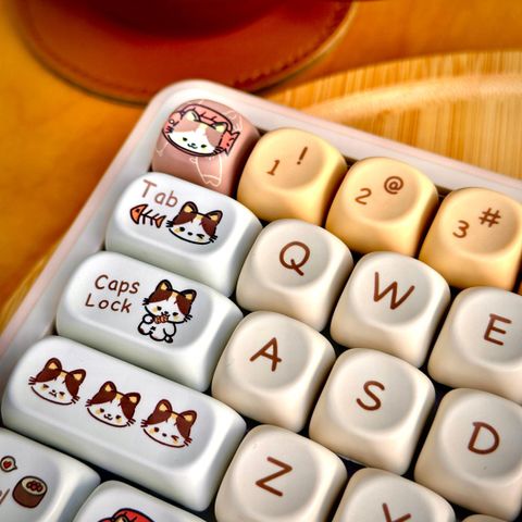 WhatsApp Image 2025-12-05 at 13.48.15 (1)