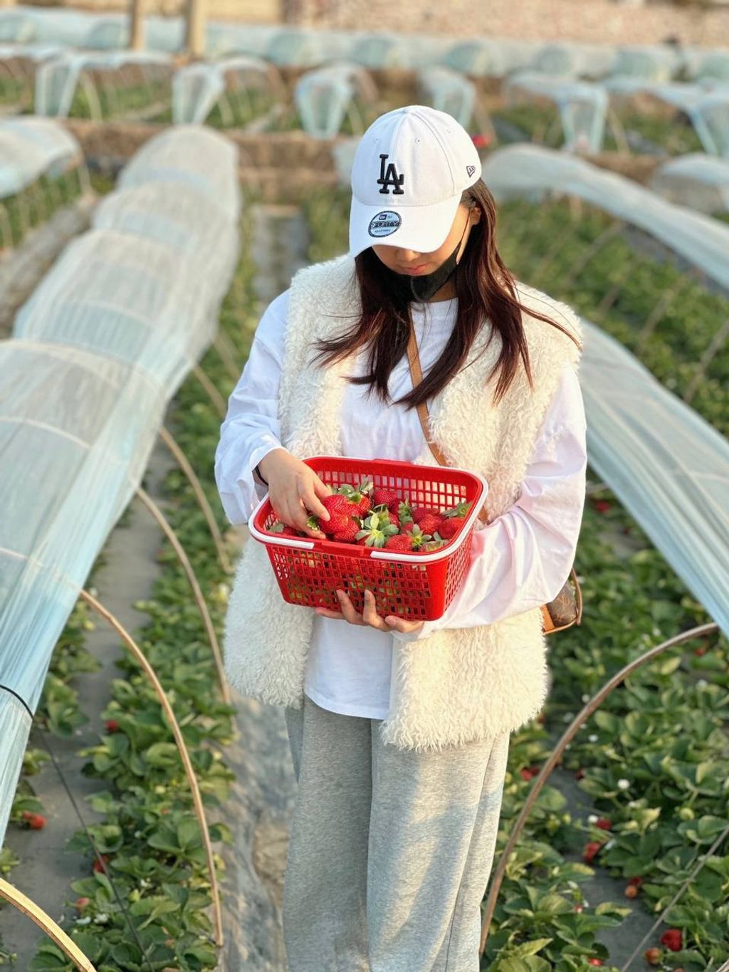 7a0108f5-93f5-41f6-91f1-ad8423f6d928