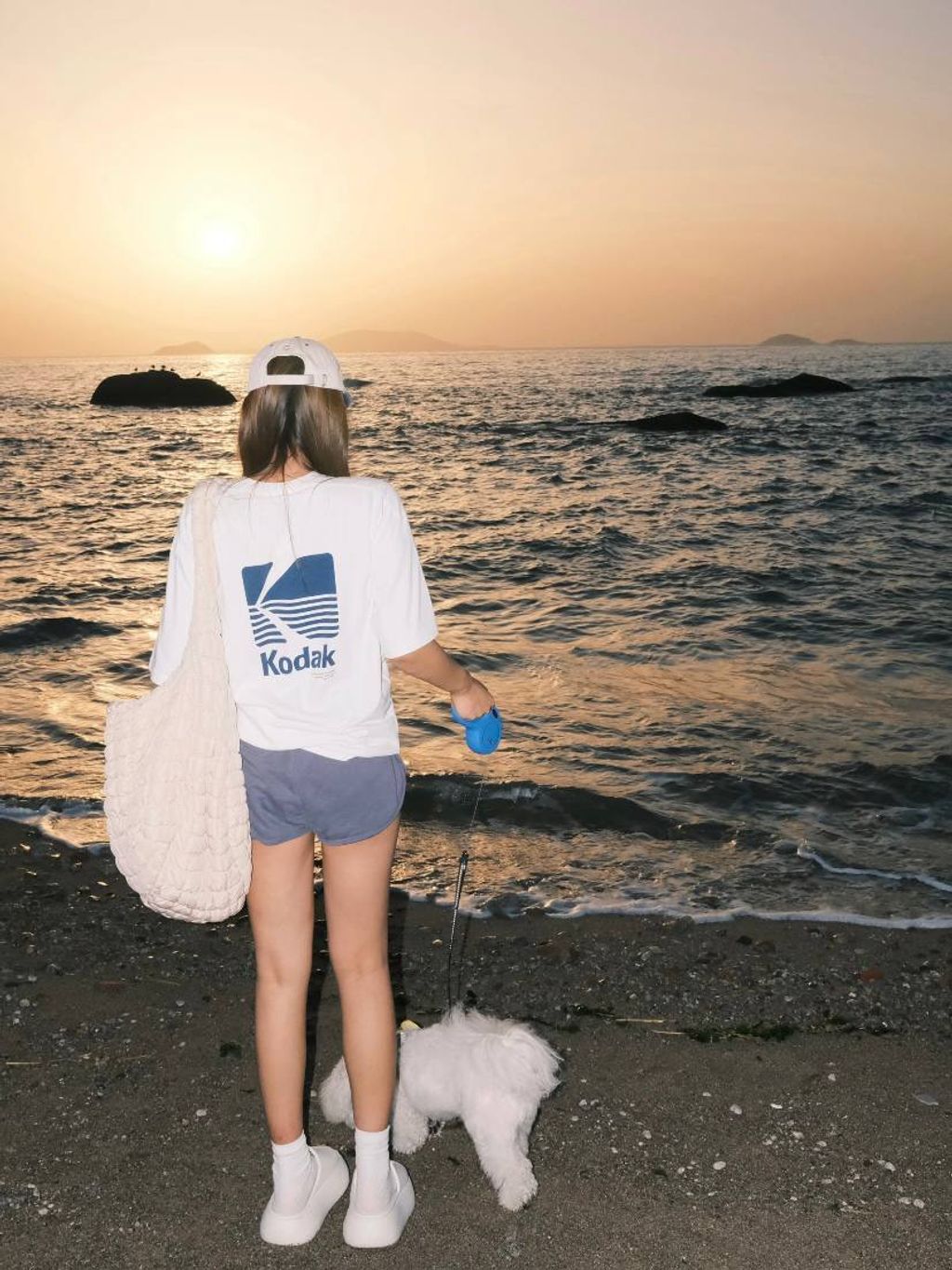 510f1447-f820-4618-b020-c5dc3eedfc6b