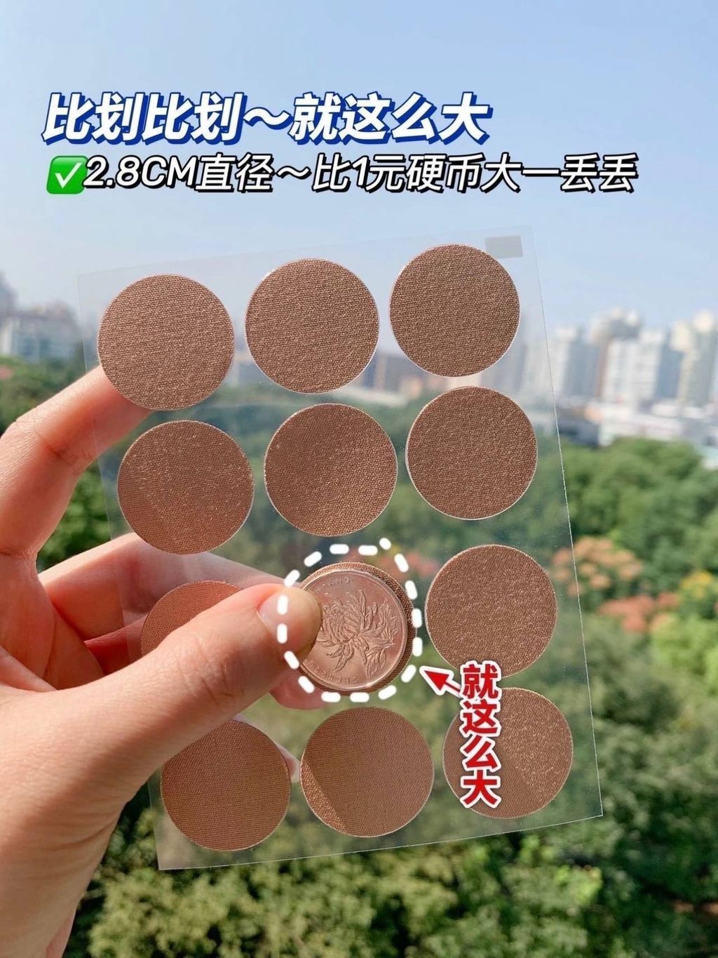 77dcd219-f261-40ae-b1e7-1a7aafa4a6b4