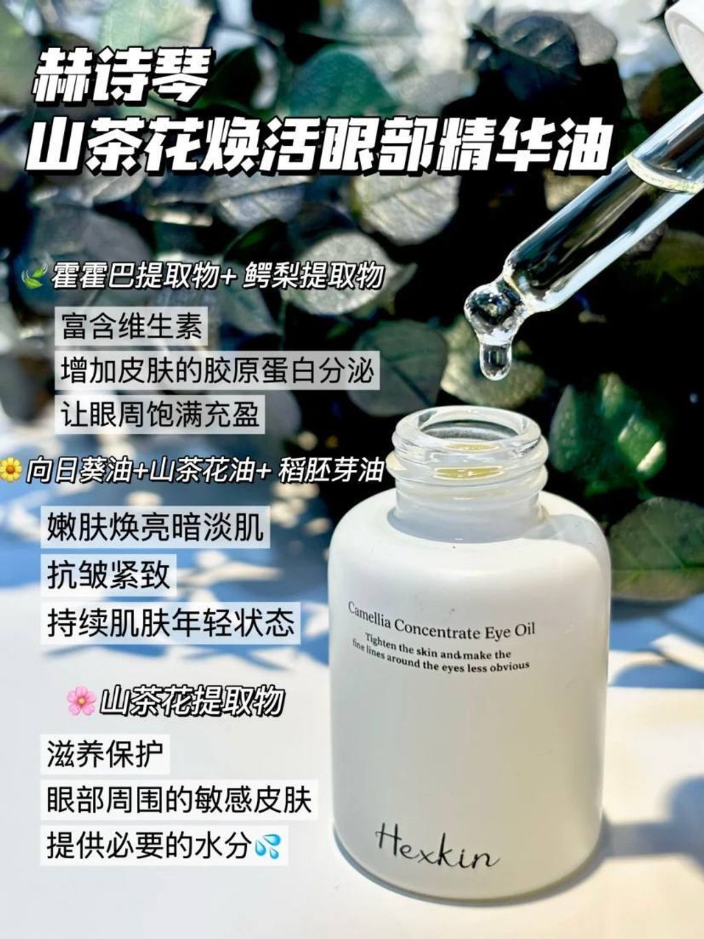 6f15296e-9f9b-493d-899a-01410138d18f