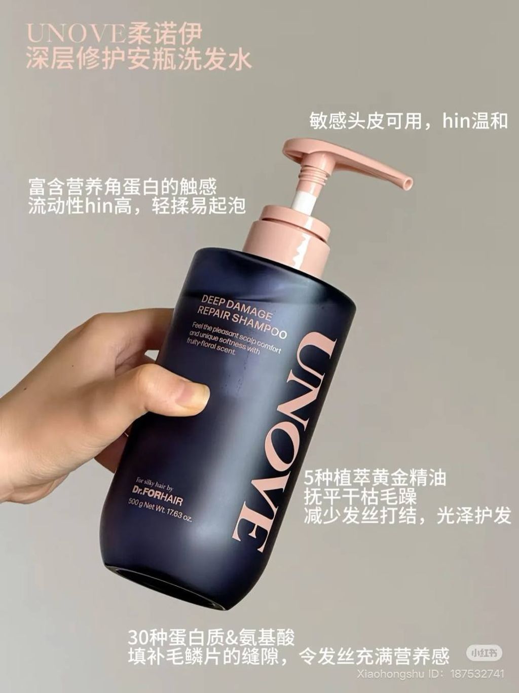 b6b07d12-d4c1-4a13-ad31-dee55763e49e