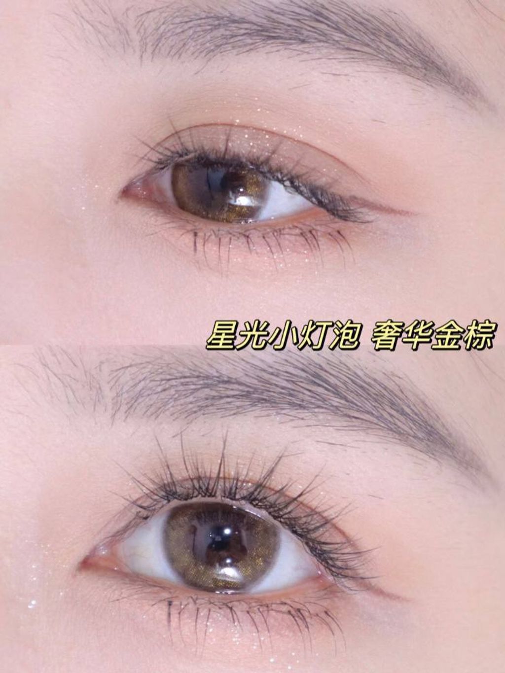 c800533f-6e44-4b76-a0cc-b001c4a99f47