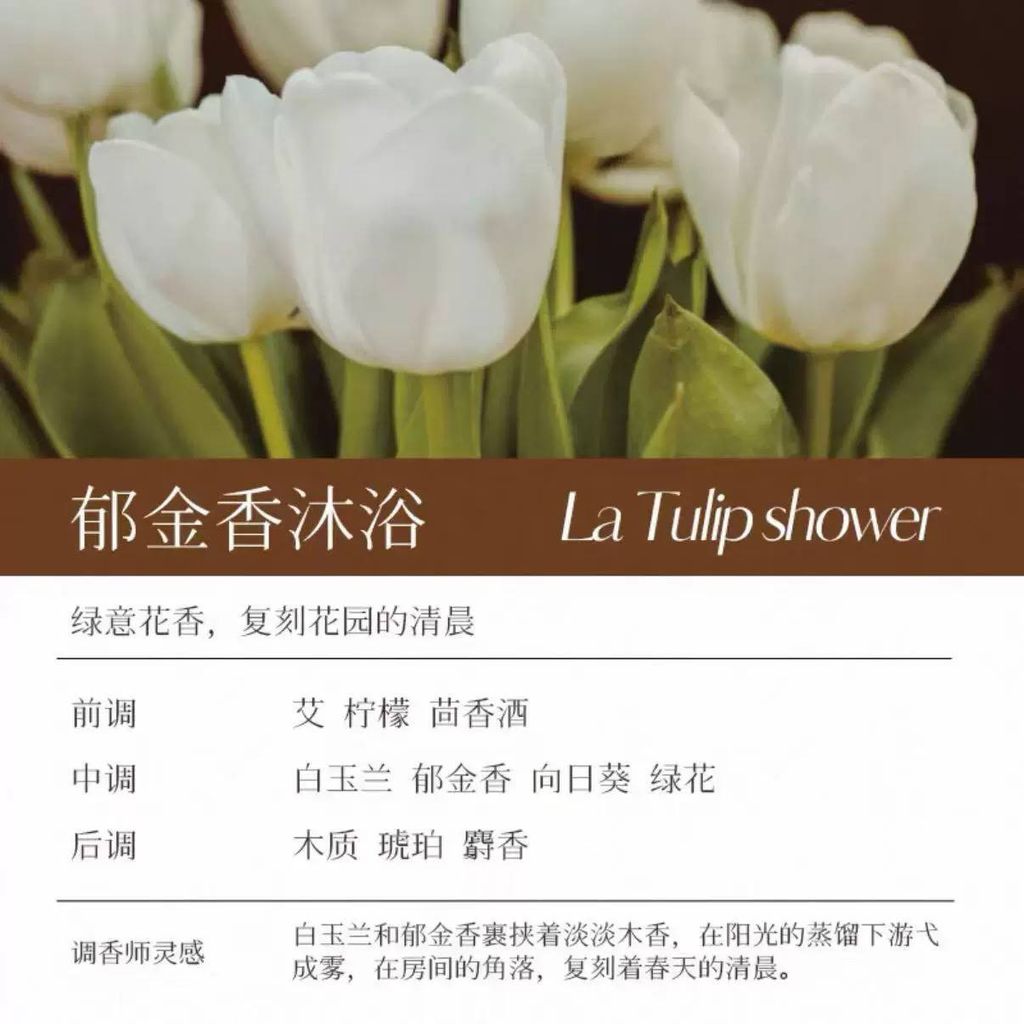 e8507cdc-29fe-4ed3-9b77-dc1e04fa163c