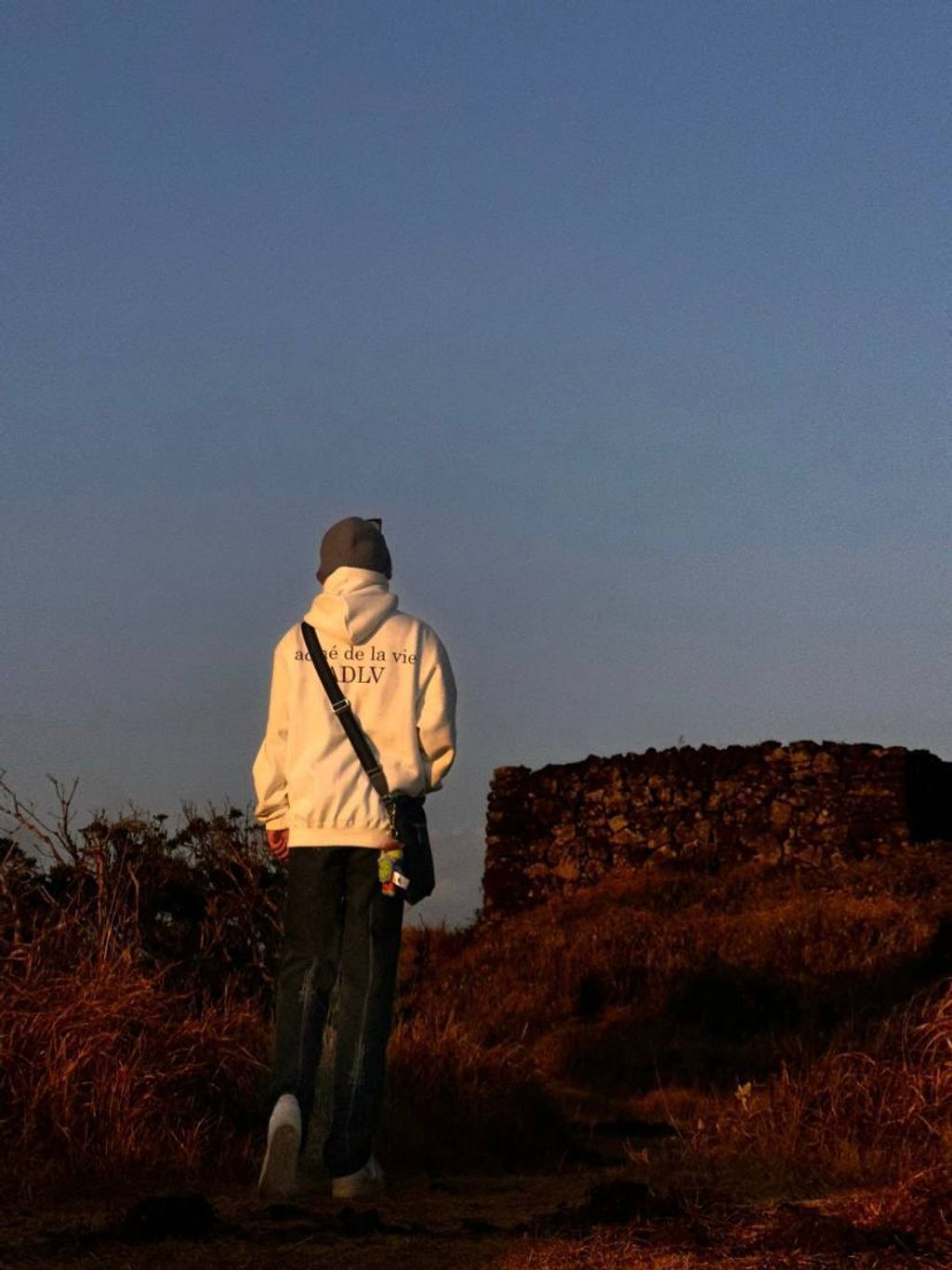 c3a05a14-4ff0-4f15-9dc6-ae842506dc35