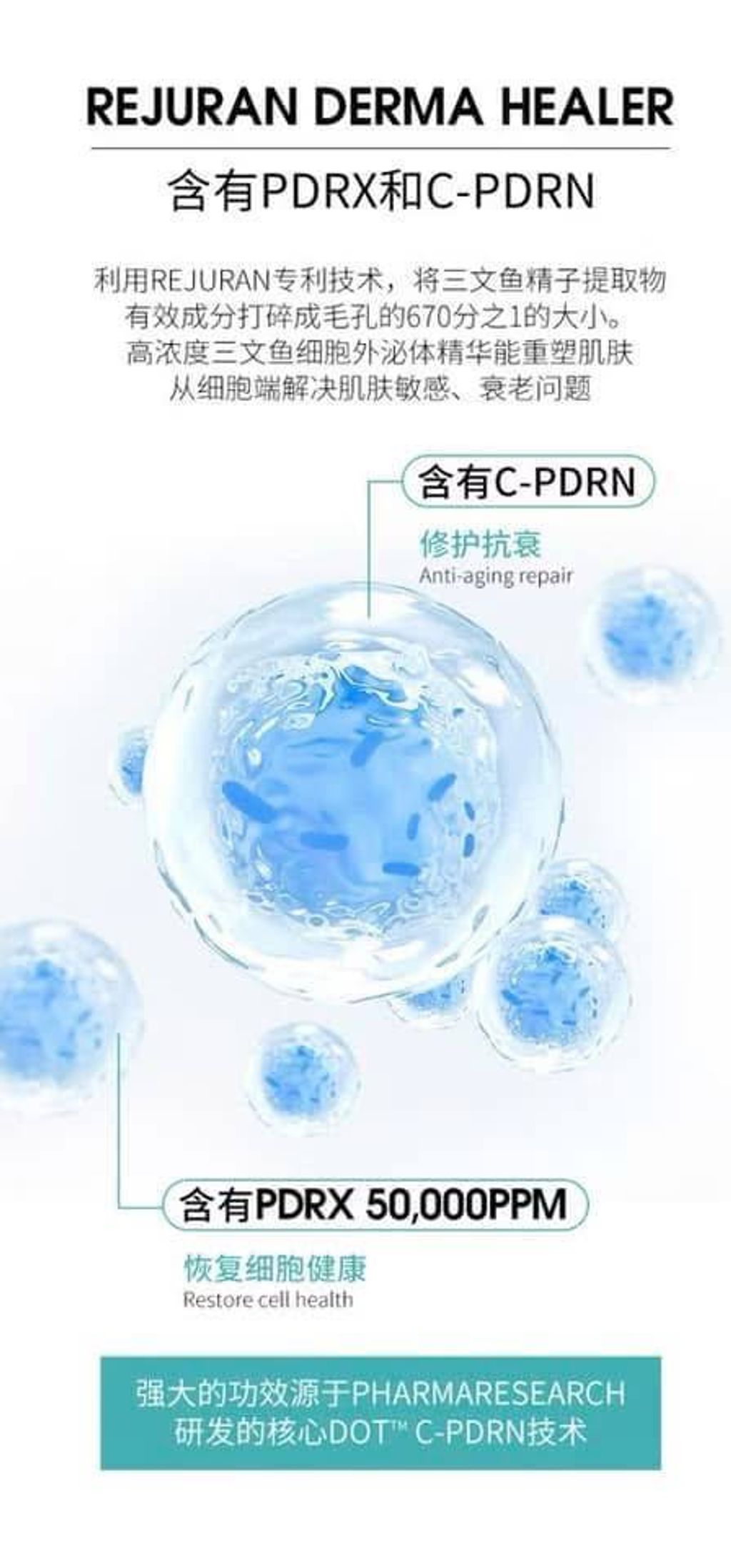 eefc371e-950f-494d-9e73-e257d62fa568