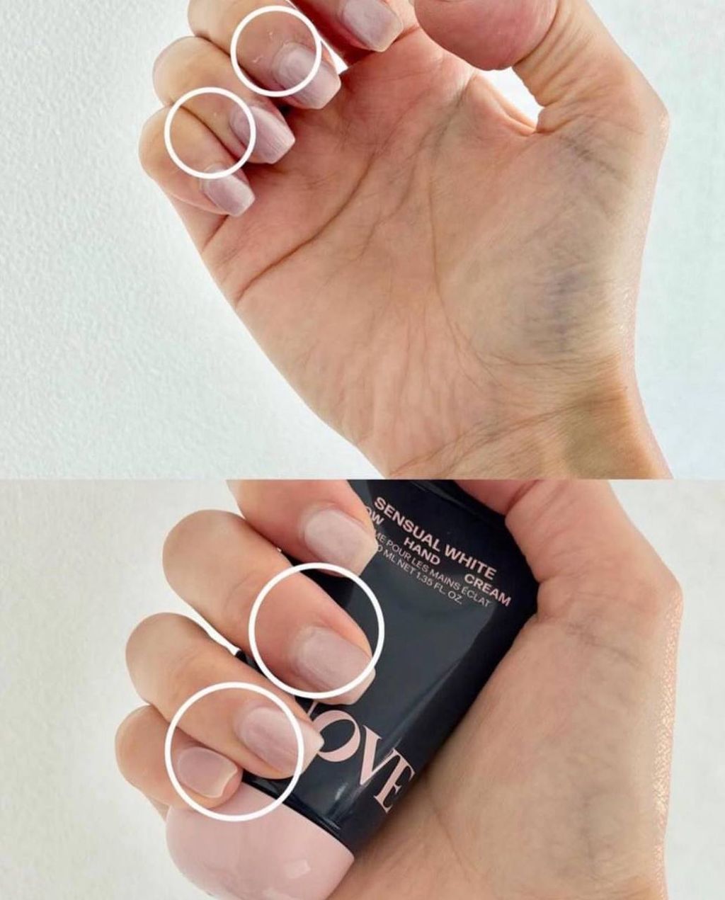 98e48176-d682-4874-90b1-3bcbdd12533e