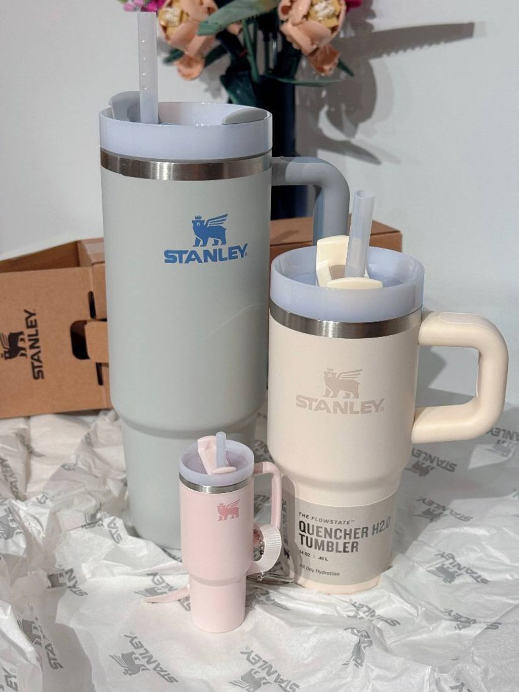 85f095bb-1ef1-4dea-a5f6-8d22c0a0350f