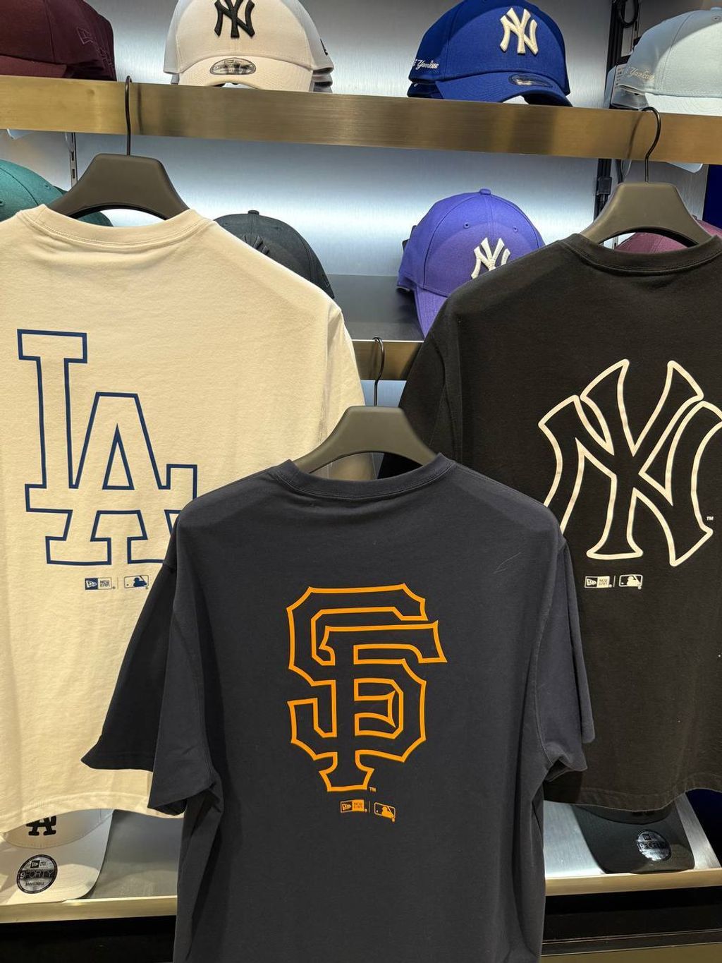 169f2336-4e37-4273-b89f-1c0c37b6076e