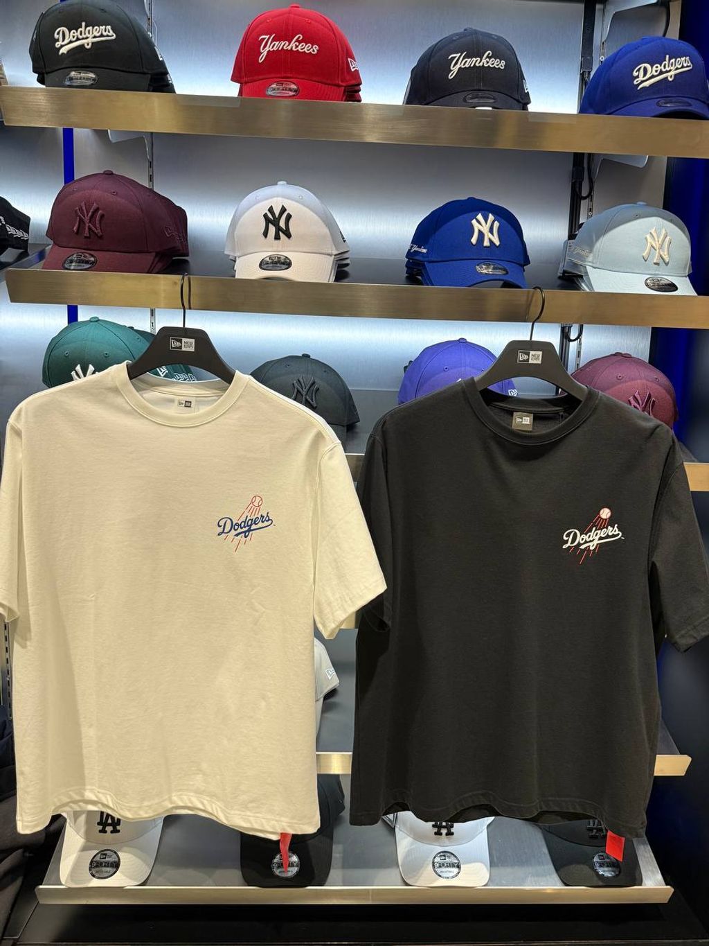 8c755e66-2663-42cf-88e8-207de20c6045