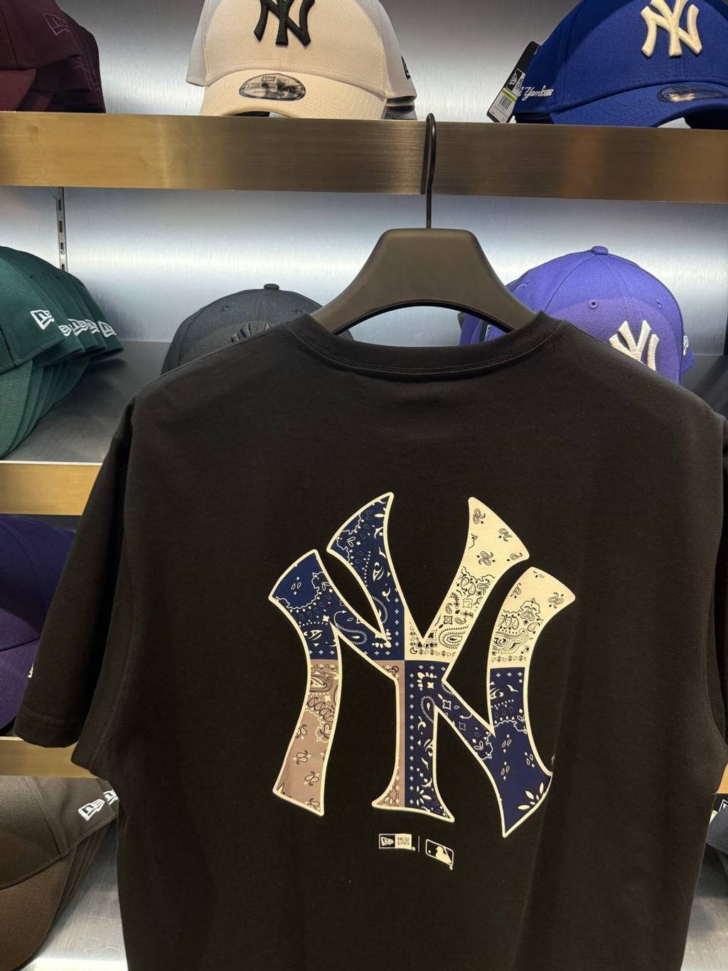 6c95cb70-b96f-45cf-ab73-1f0b6f8a6b1b